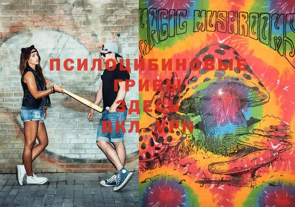 хмурый Нестеровская