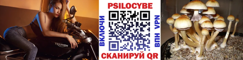 Псилоцибиновые грибы прущие грибы  мориарти как зайти  Осташков 