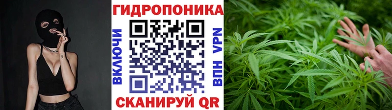 Бошки Шишки конопля  Осташков 